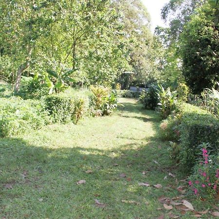 Вілла Bema Farm Sao Jose Екстер'єр фото