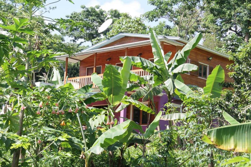 Вілла Bema Farm Sao Jose Екстер'єр фото