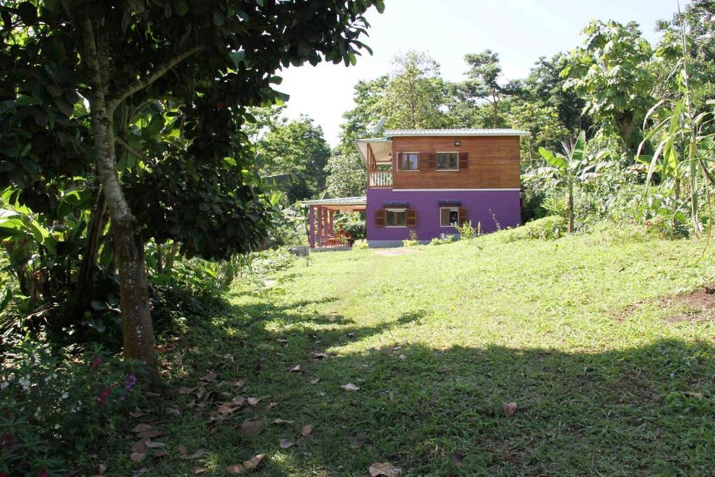 Вілла Bema Farm Sao Jose Екстер'єр фото