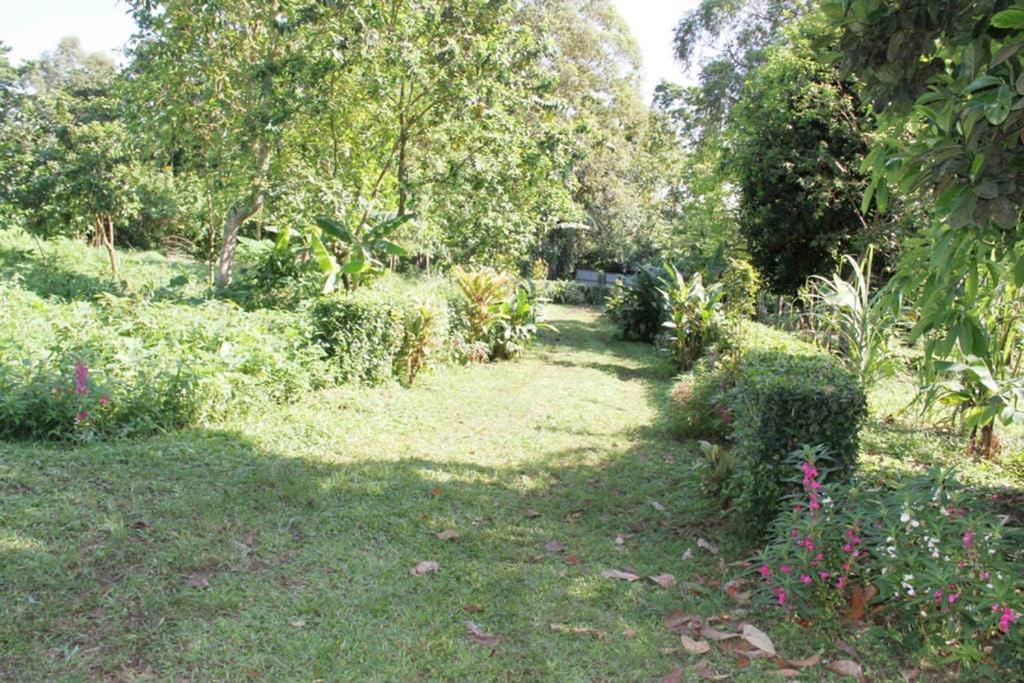 Вілла Bema Farm Sao Jose Екстер'єр фото